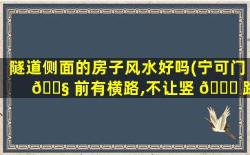 隧道侧面的房子风水好吗(宁可门 🐧 前有横路,不让竖 🐘 路进家门)